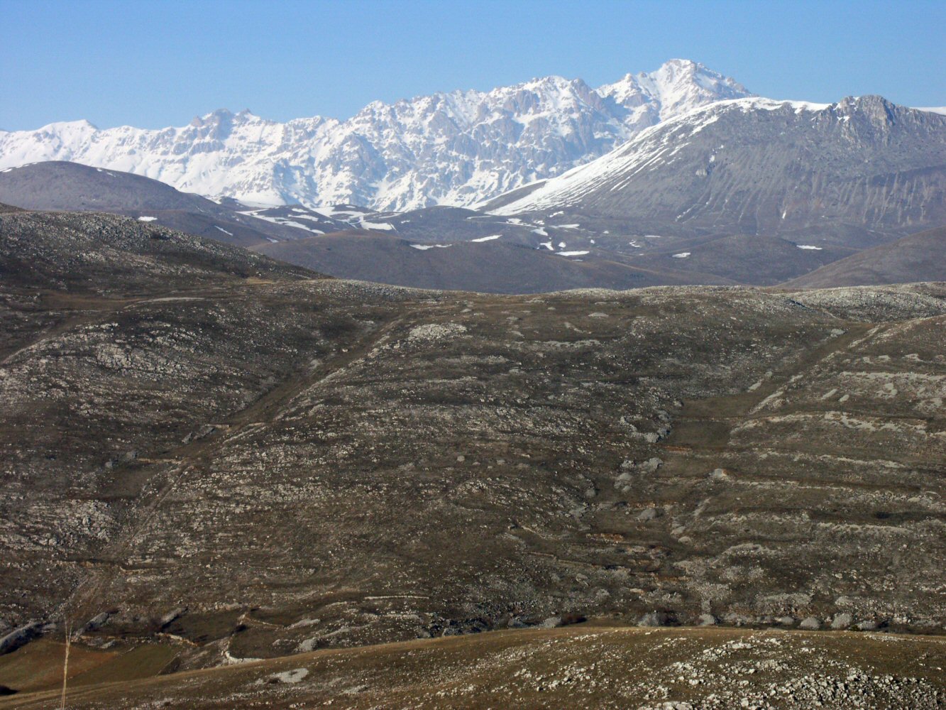 05 CAMISCIA 0201   Copy